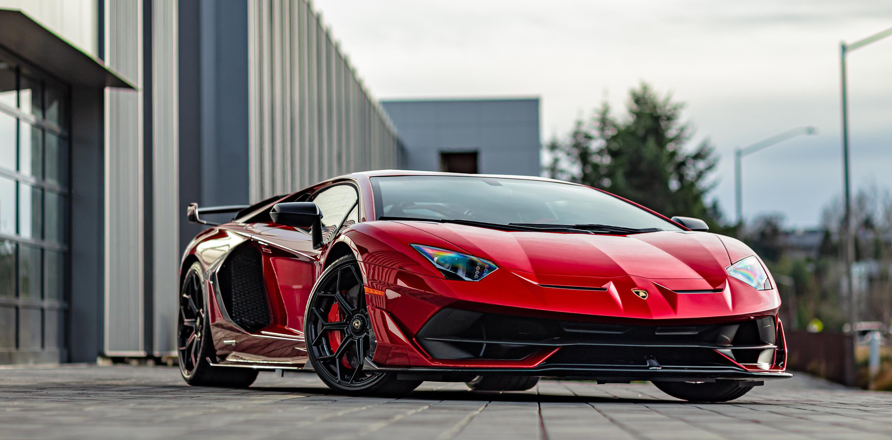 Stek Dyno Image Clear Dynoshield Gloss 72dpi V1 425